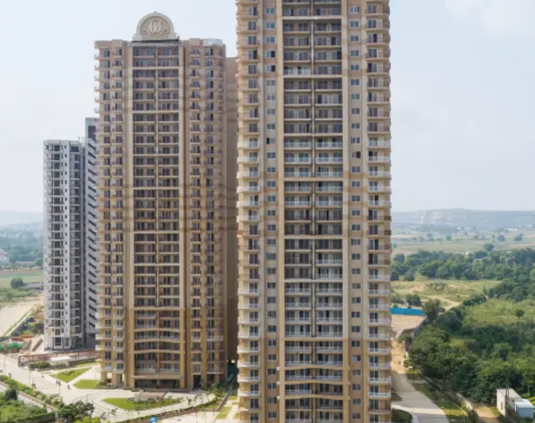 real estate developer