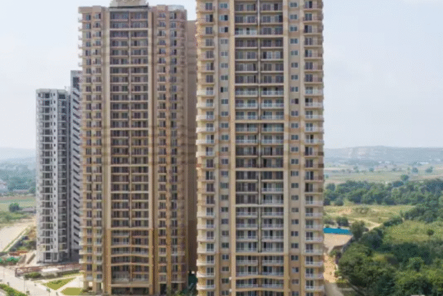 real estate developer